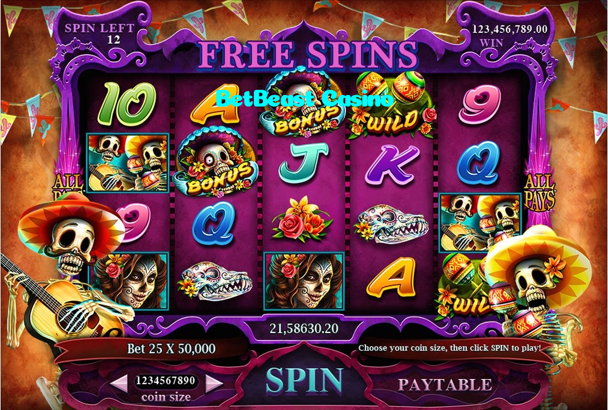 available types of BetBeast Casino bet including pre-match live express and system bets